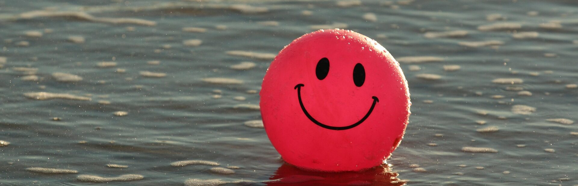 The Happiness Trap