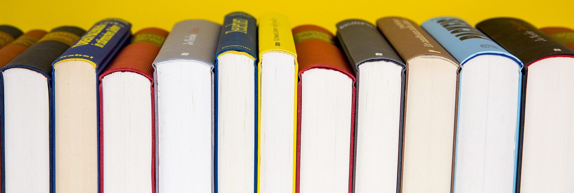 Antonia Pont’s Plain Life: On Thinking, Feeling and Deciding 