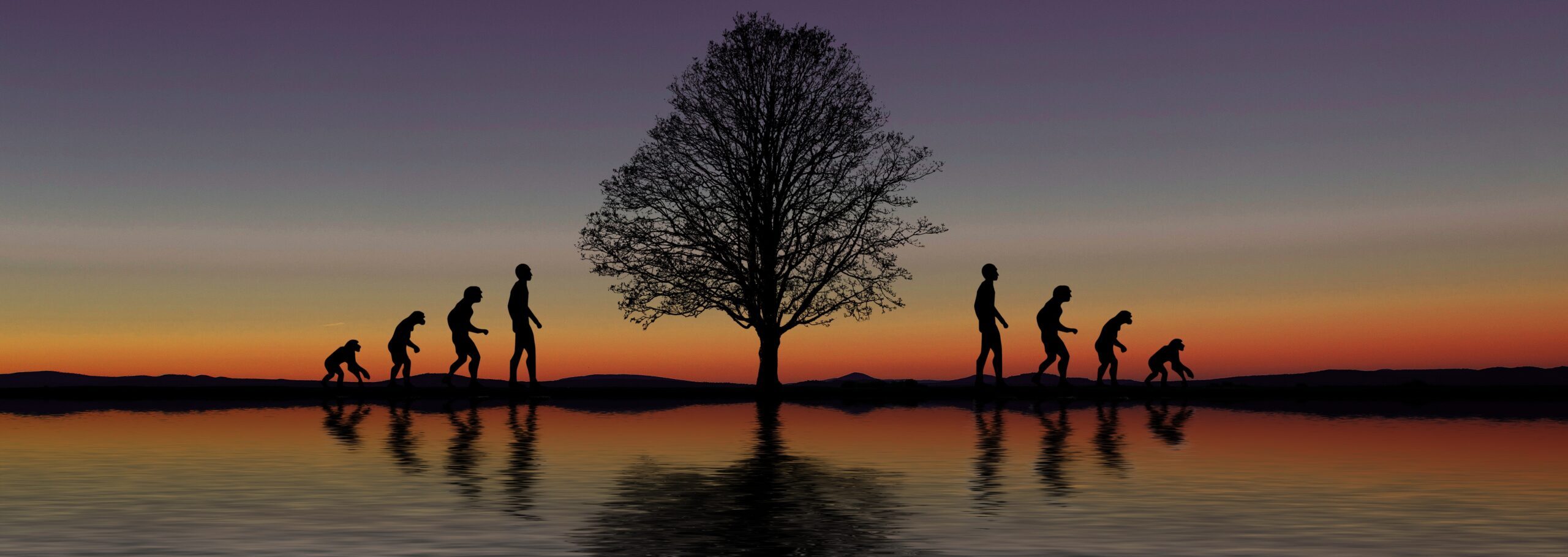 Life Transitions